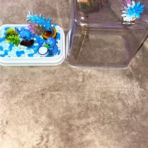 Custom jumping spiders enclosure
